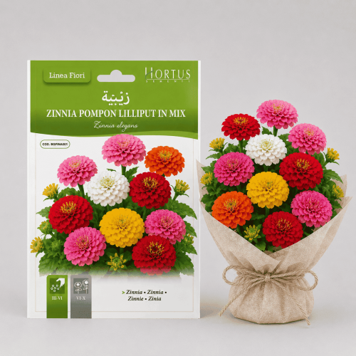 Zinnia flower seeds