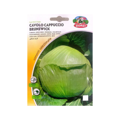 كرنب مستدير Round Cabbage