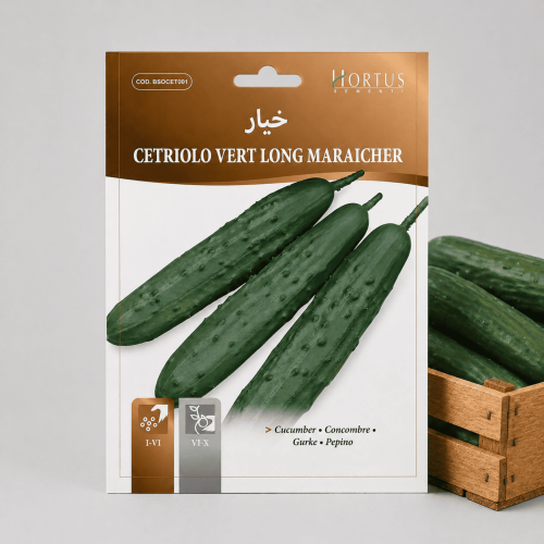 بذور خيار أخضر طويل