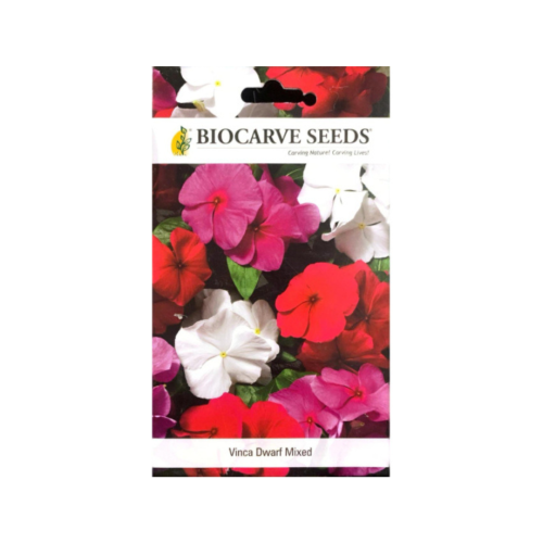 بذور مزيج نبتة الفنكا القزمية