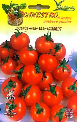 بذور طماطم كرزية حمراء