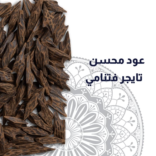 عود محسن تايجر فتنامي