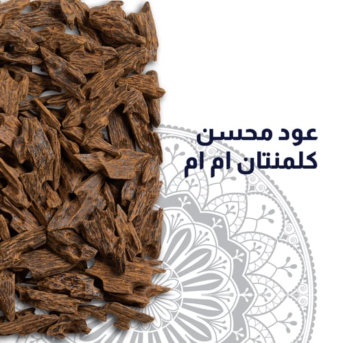 عود محسن كلمنتان ام ام