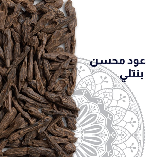 عود محسن بنتلي