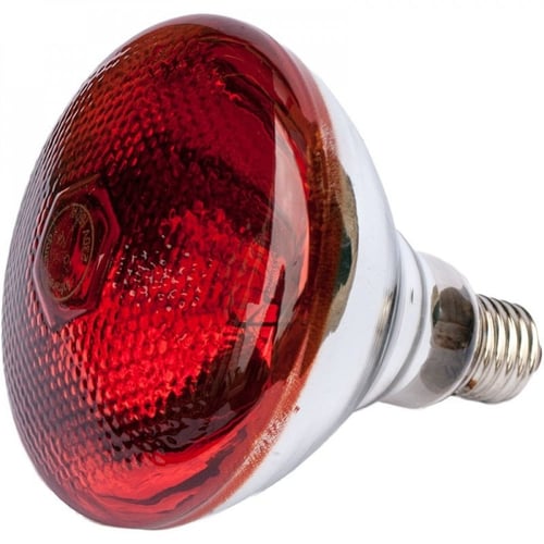 لمبة اشعة تحت الحمراء مع الحامل Infra-Red Lamp