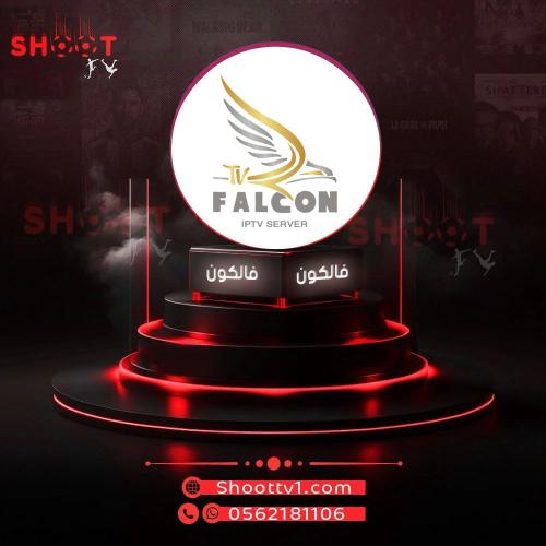 فالكون (سنة)