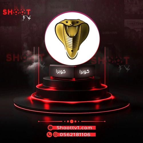 كوبرا (6شهور)