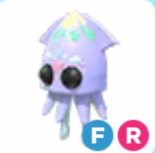 FR Squid