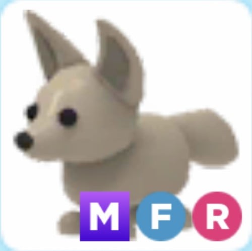 MFR FENNEC FOX
