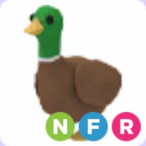 NFR Drake