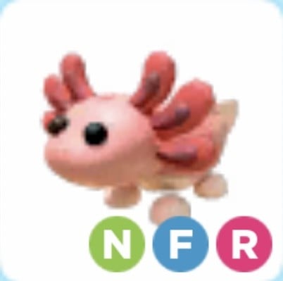 NFR Axolotl