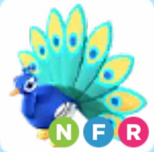 NFR Peacock