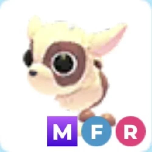 MFR Kid Goat