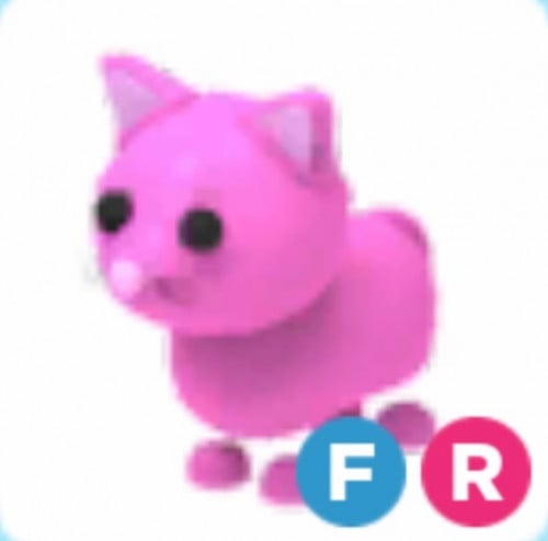 FR PINK CAT