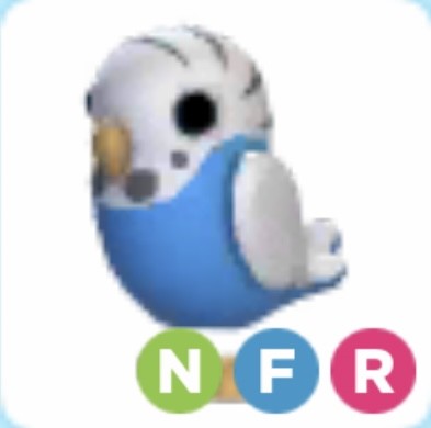 NFR Parakeet