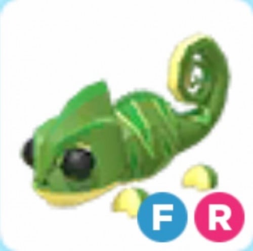 FR Chameleon