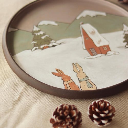 Snow plate