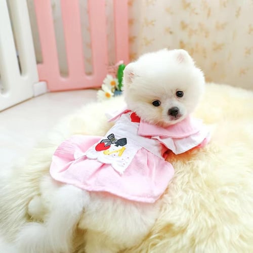 فستان للقطط والكلاب الصغيرة وردي