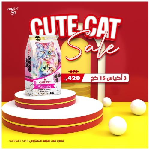 عرض خاص 3 أكياس 15 كيلو أكل كيوت كات بالدجاج للقطط...