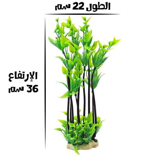 أشجار طويلة زينة لحوض السمك