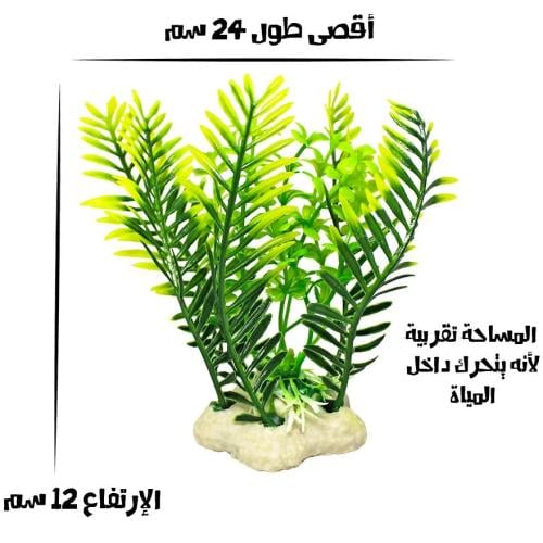 أوراق أشجار زينة لحوض السمك