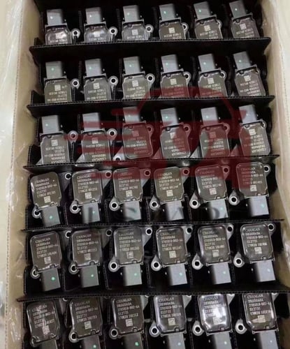 اربعة بواجي و كويل شانجان - اربعة بواجي و اربعة كو...