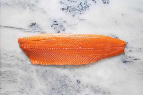 فيليه السالمون النرويجي