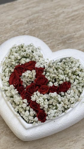 فازة الفلنتاين بالجبسوفيلا