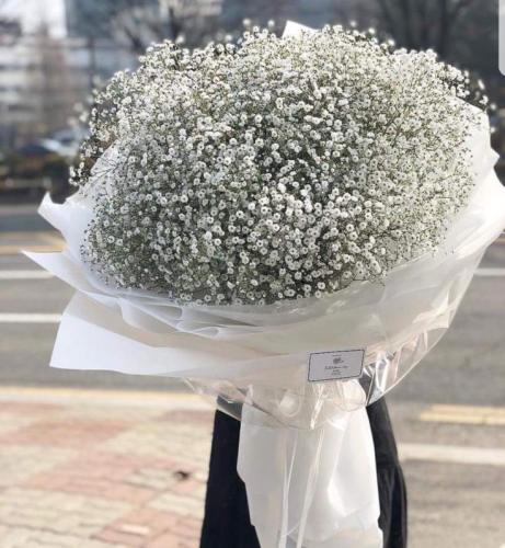 باقة مليون نجمه