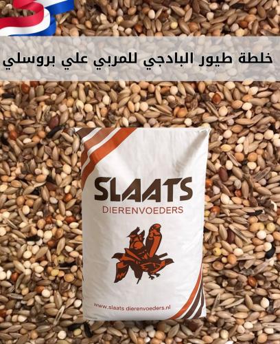 اكل طيور البادجي والروز والكروان SLAATS-ALI BOURES...