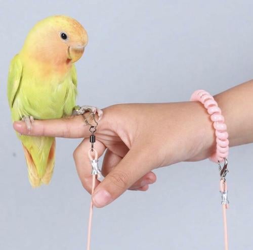 هارنس مع سواره لون وردي للطيور