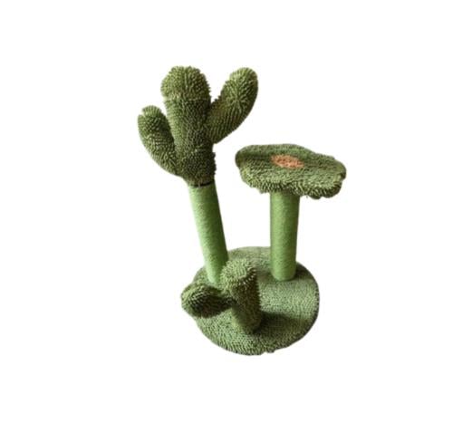 خداشة قطط على شكل شجرة الصبار