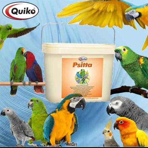 باتية- Quiko Psitta من شركة كويكو 3,75K