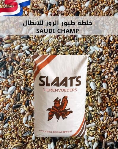 اكل طيور البادجي SLAATS-SAUDI CHAMP