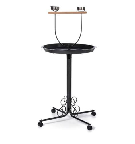 ستاند ببغاء صغير - تصميم مميز