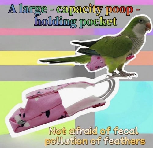 حفاضات للببغاء قابلة لاعادة الاستخدام