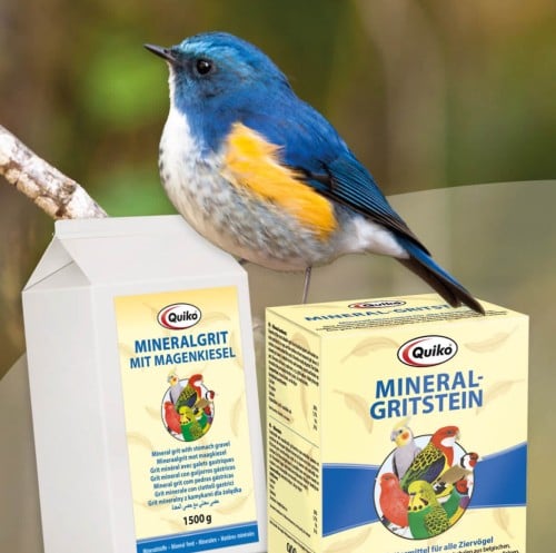 مزيج من أصداف ومعادن من شركة كويكو 1500 جرام