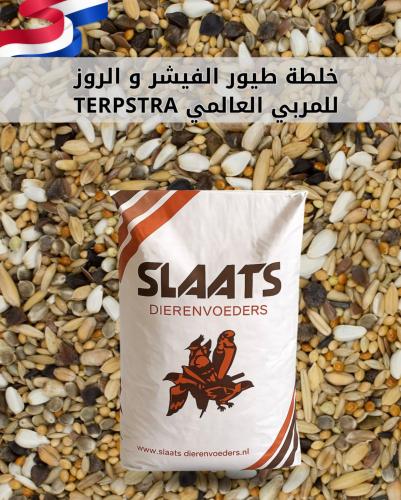 اكل طيور البادجي والروز والكروان SLAATS-TERPSTRA