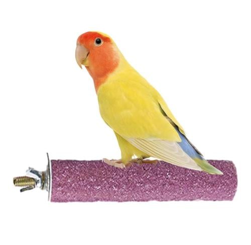 مبرد الطيور رقم 110 حجم صغير 12 سم