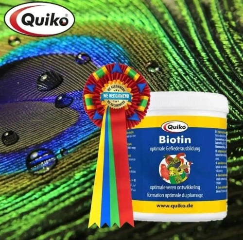 Biotin- بايوتين من شركة كويكو 150 جرام