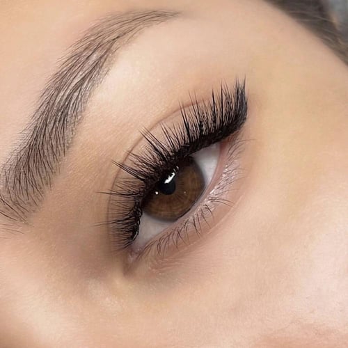 بوكس الرموش (D 0.10) Mink