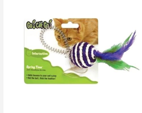 سبرينج تايم لعبة للقطط