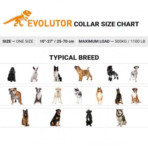 Evolutor - الطوق الأكثر متانة في العالم