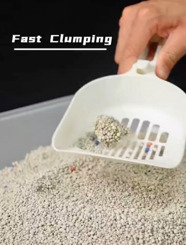 رمل للقطط برائحة التفاح 8 لتر Coco Cat