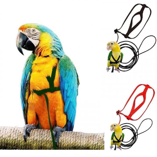 ليش بصدرية للببغاء بمقاسات مختلفة