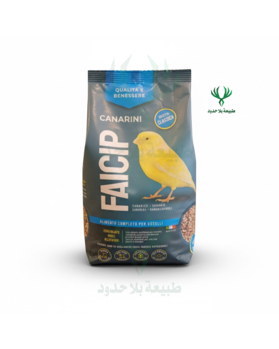 FAICIP اكل كناري بأحجام مختلفة