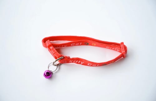 اطواق للقطط بألوان زاهية