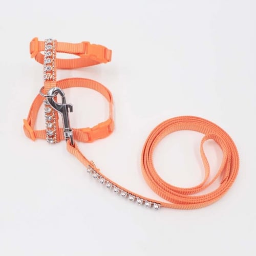 صدرية مع ليش للقطط بألوان مختلفة