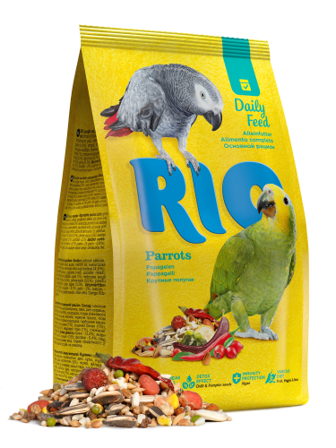 Rio اكل للببغاء مع الفواكة