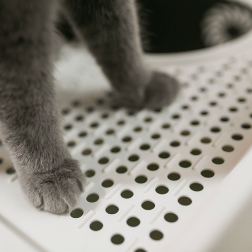 pakeway لتر بوكس مغلق مع باب للدخول وفتحة بالاعلى...